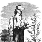 Johnny Appleseed