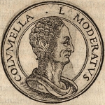 Lucius Columella