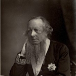 John Kaye