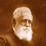 William Fox