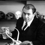 Robert Williams