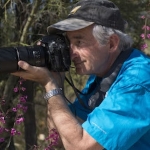 Stephen Buchmann
