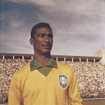 Waldyr Pereira