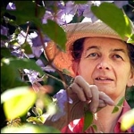 Nicola Ferguson