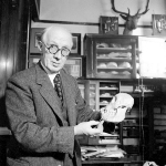 Franz Weidenreich