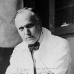 Herbert Evans