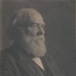 Everett Wilmarth
