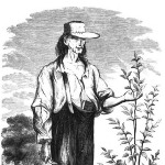 John Chapman