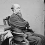 JOHN FARNSWORTH