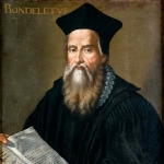 Guillaume Rondelet