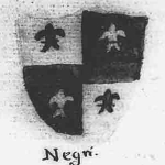 Leonardo Navigajoso