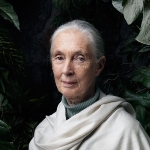 Jane Goodall - Acquaintance of Brian Cox