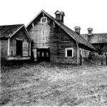 Mary Willis Randlett