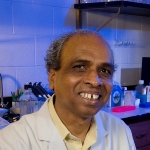 Dama Laxminarayana