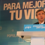 Angel Acebes Paniagua