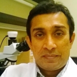 Dhammika Atapattu